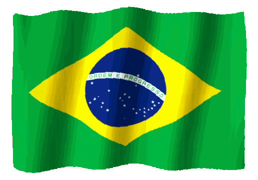 Brazil flag